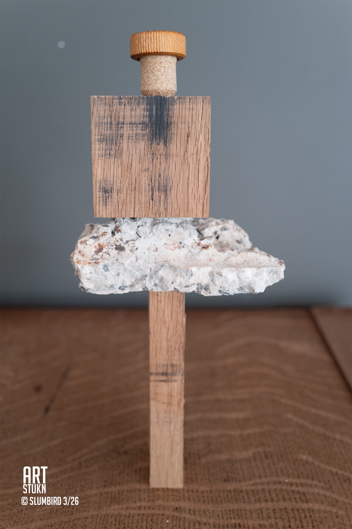 wolk-bySlumbird-Artstukn